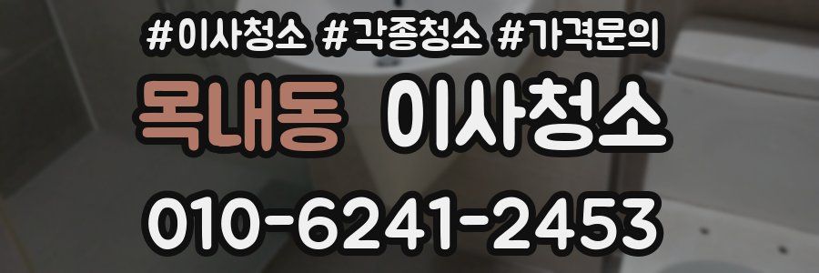 목내동 이사청소