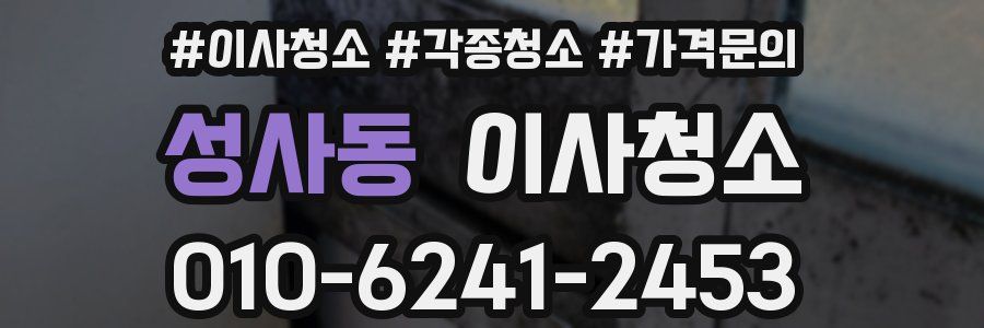 성사동 이사청소
