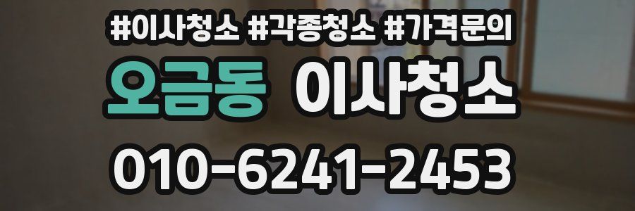오금동 이사청소