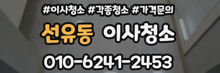 선유동 이사청소