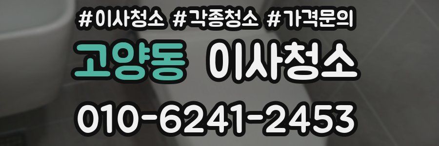 고양동 이사청소