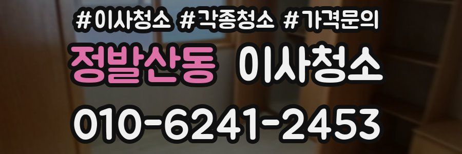 정발산동 이사청소