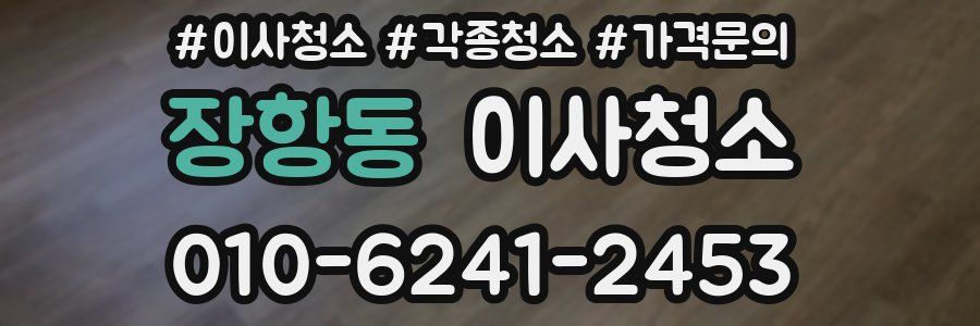장항동 이사청소