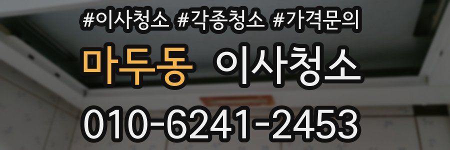 마두동 이사청소