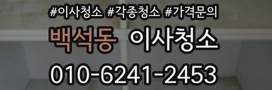 백석동 이사청소