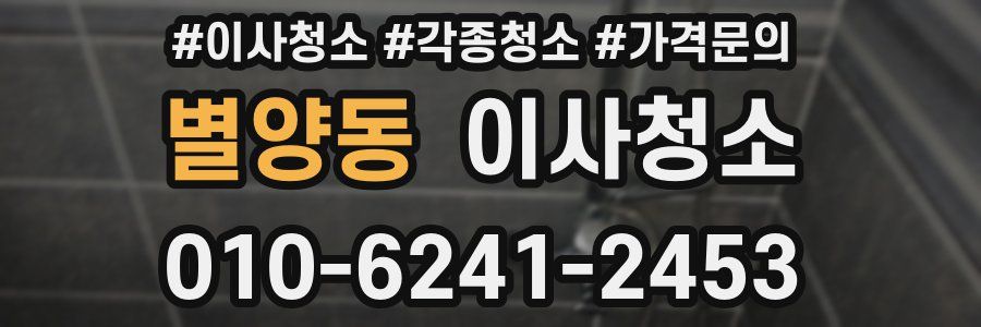 별양동 이사청소