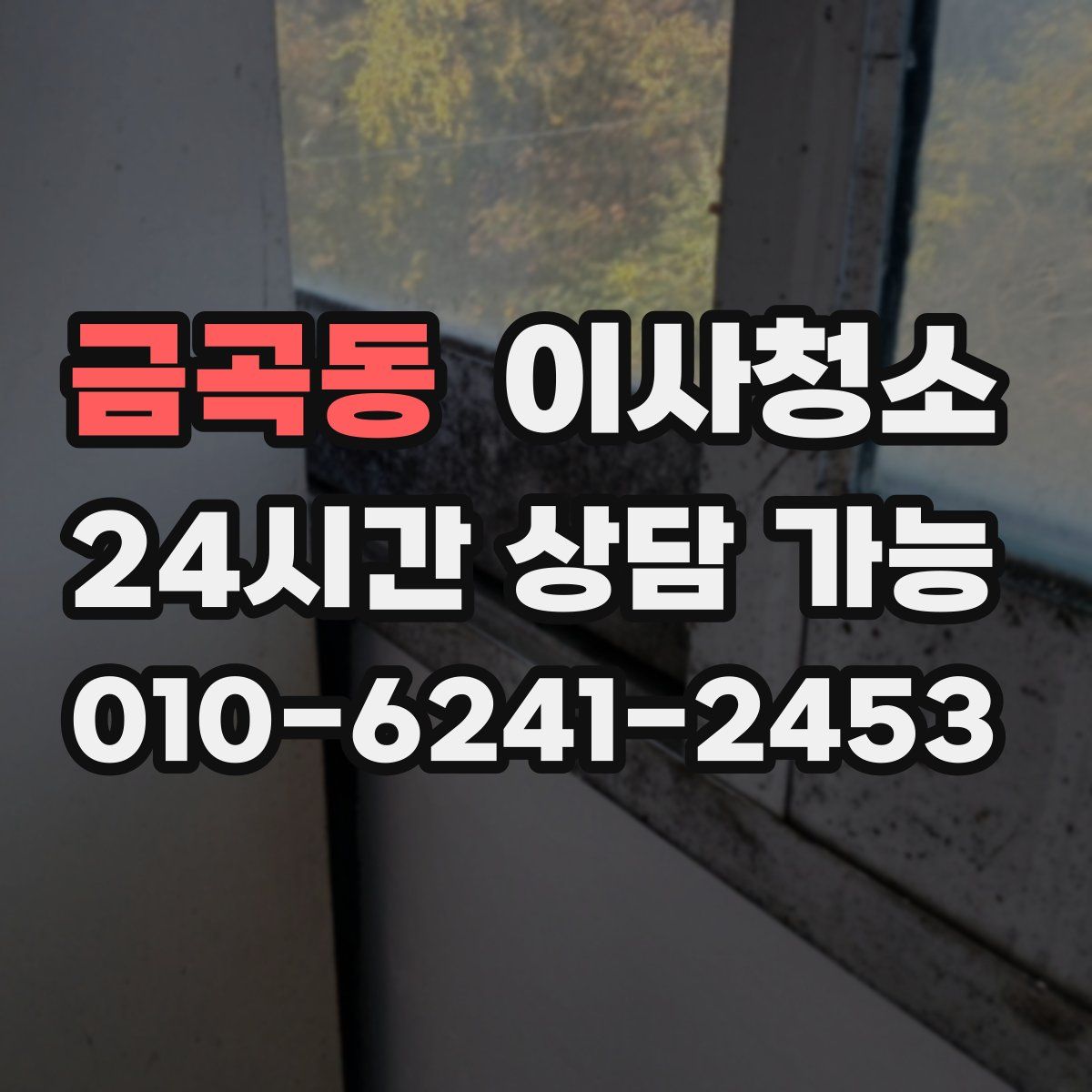 금곡동 원룸청소