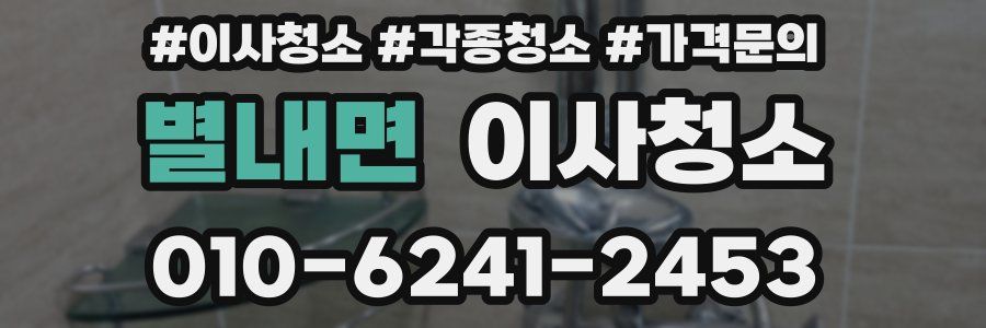 별내면 이사청소