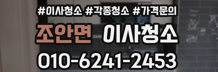 조안면 이사청소