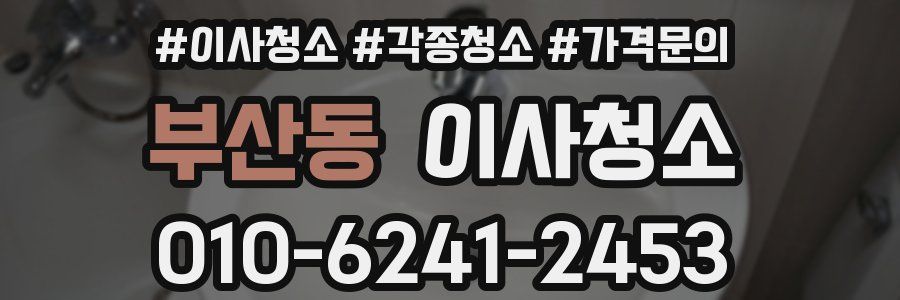 부산동 이사청소