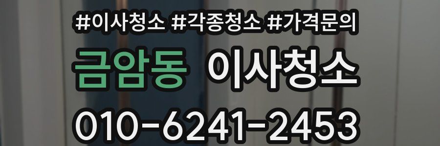 금암동 이사청소