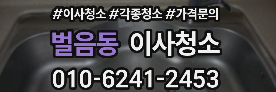 벌음동 이사청소