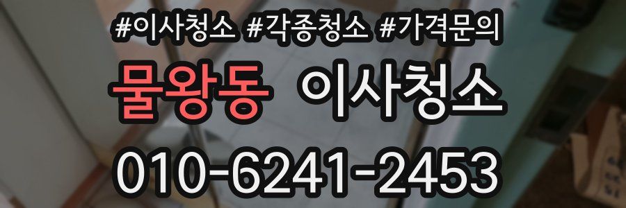 물왕동 이사청소