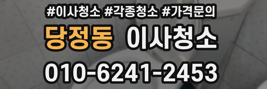 당정동 이사청소