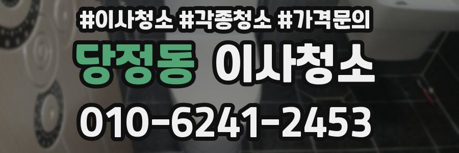 당정동 이사청소