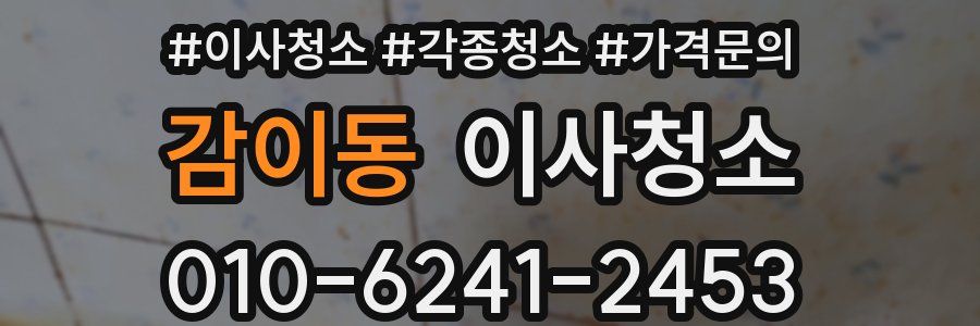 감이동 이사청소