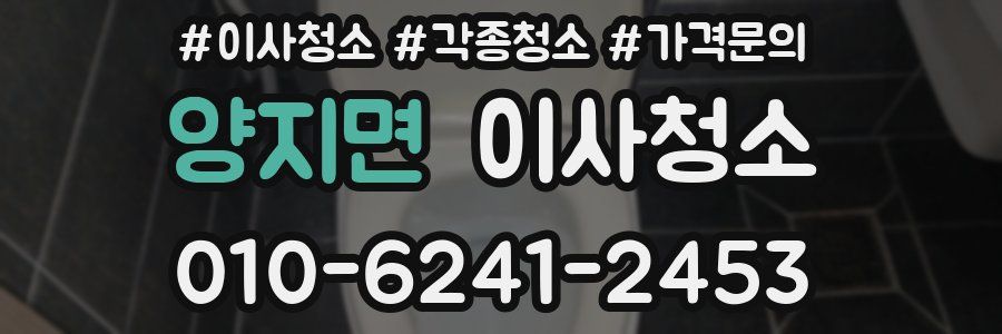 양지면 이사청소