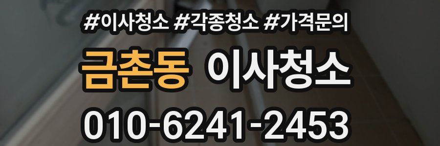 금촌동 이사청소