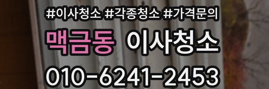 맥금동 이사청소