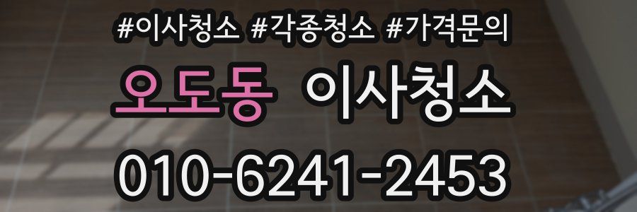 오도동 이사청소