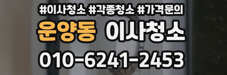 운양동 이사청소