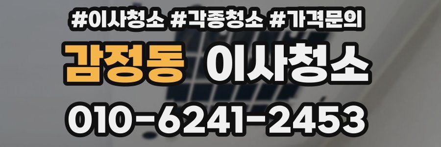 감정동 이사청소