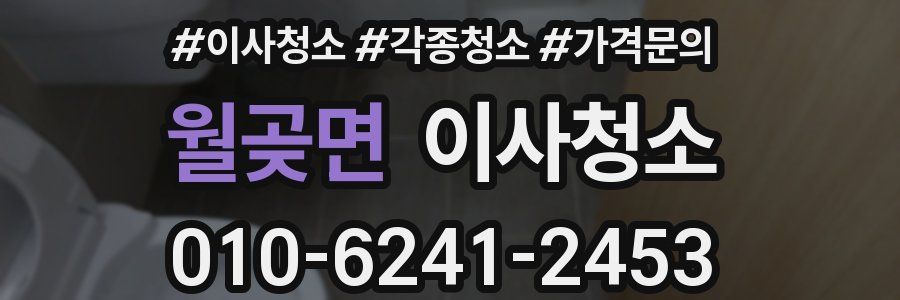 월곶면 이사청소