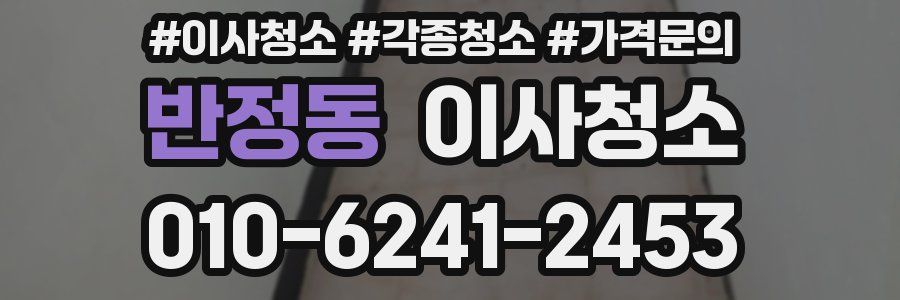 반정동 이사청소