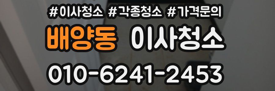 배양동 이사청소