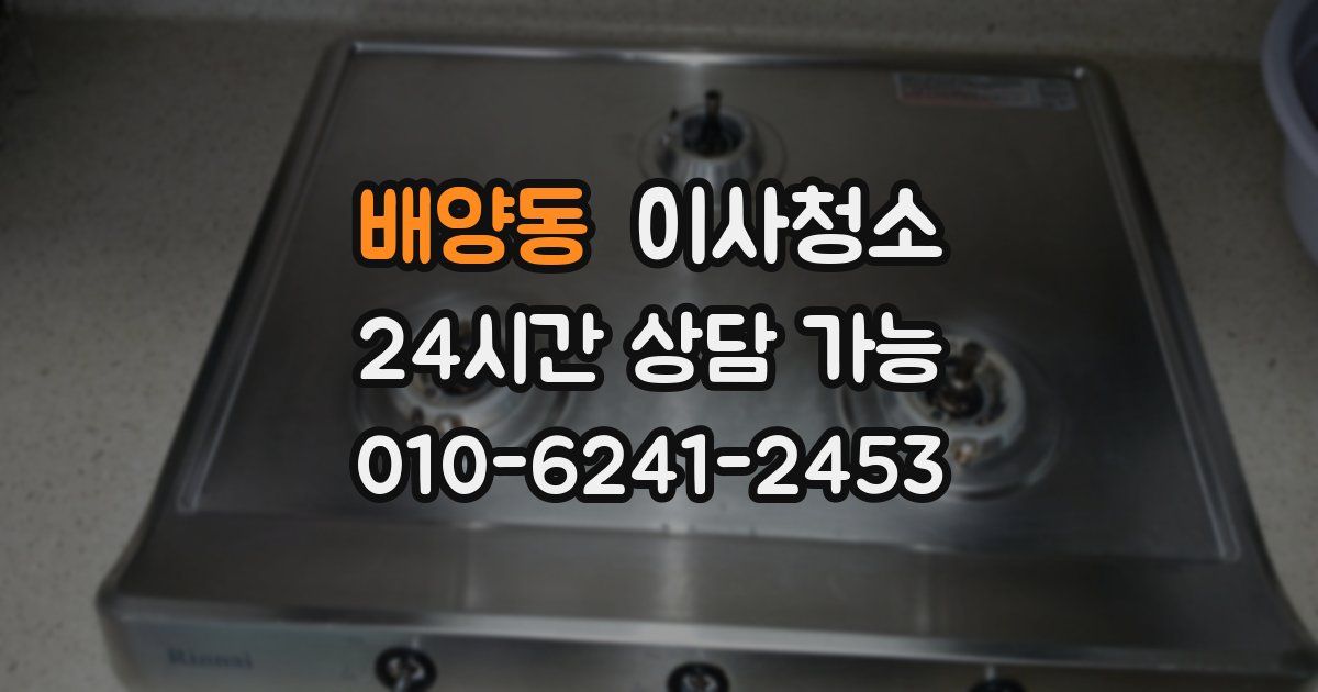 배양동 입주청소