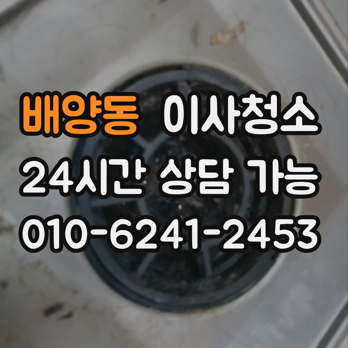 배양동 원룸청소