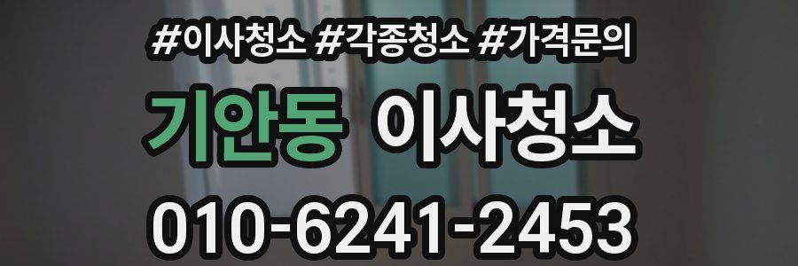 기안동 이사청소