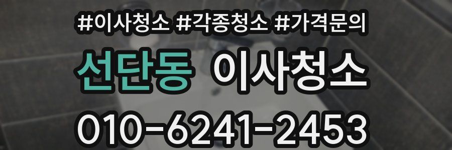 선단동 이사청소