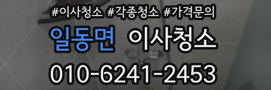 일동면 이사청소