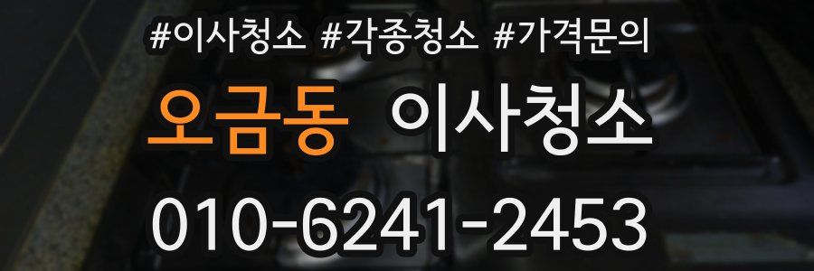 오금동 이사청소