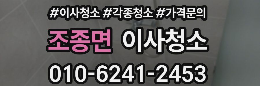 조종면 이사청소