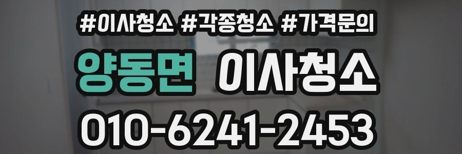 양동면 이사청소