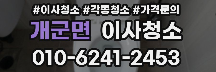 개군면 이사청소