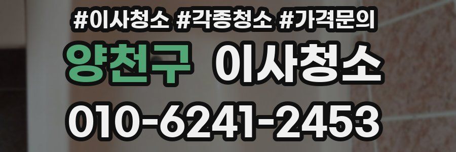 양천구 이사청소