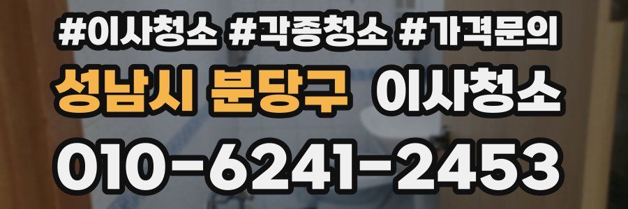 성남시 분당구 이사청소
