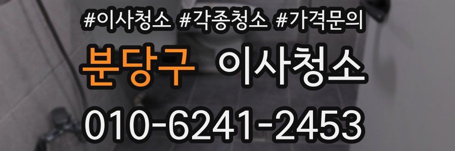 분당구 이사청소