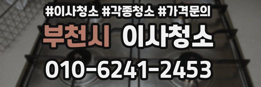 부천시 이사청소