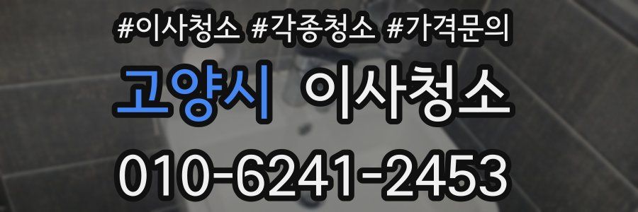 고양시 이사청소