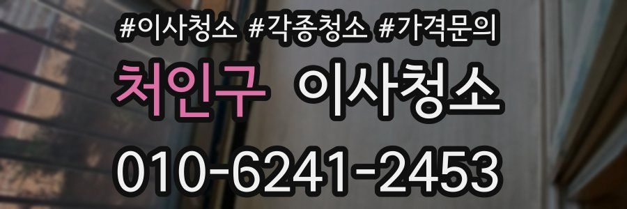 처인구 이사청소