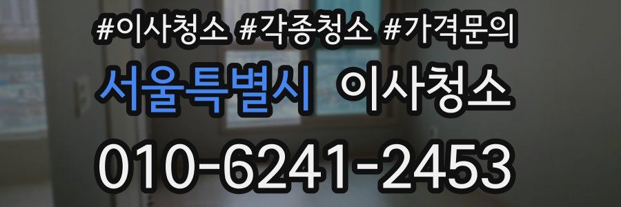 서울특별시 이사청소