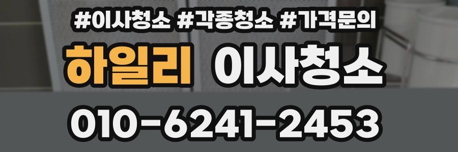 하일리 이사청소