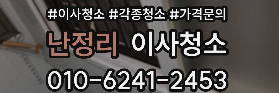 난정리 이사청소