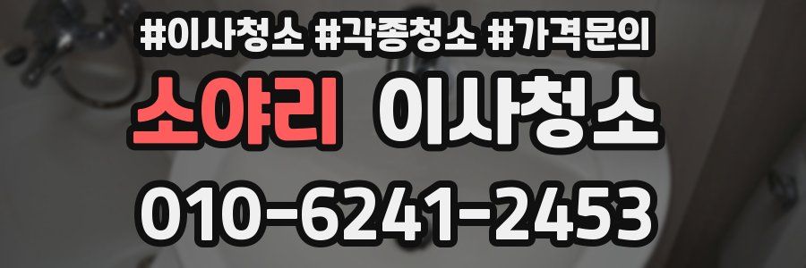 소야리 이사청소