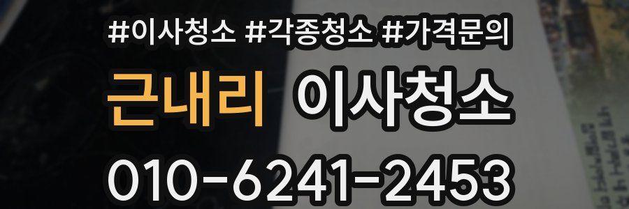 근내리 이사청소