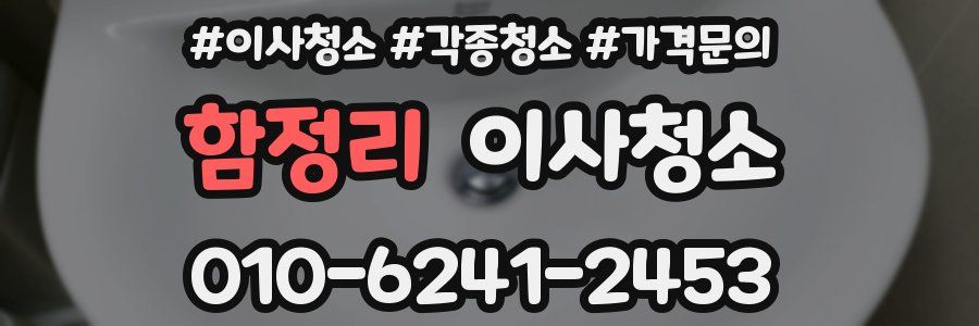 함정리 이사청소